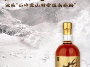 青梅不成双，匠心果酒自成一派