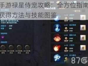 寻仙手游禄星侍宠攻略：全方位指南带你掌握获得方法与技能图鉴