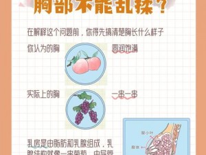 宝贝 c 我想摸你奶让我揉揉说说，这款丰胸霜能让你拥有傲人双峰