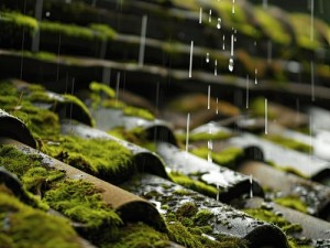 雨春高清：高清画质，带你领略不一样的世界