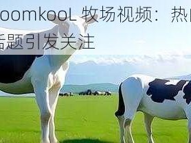 ZoomkooL 牧场视频：热门话题引发关注