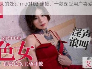 艾秋老大的处罚 md0103 连接：一款深受用户喜爱的视频软件