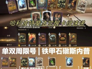 哈利波特魔法觉醒：深度解析海格卡牌强度及策略运用