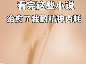 小说中，我被吃药的公狂躁 3 小时半，接下来会发生什么呢？