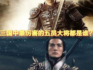 三国英勇大将张合之策略与武艺属性解析