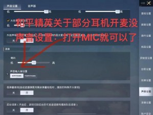 和平精英麦开启无声状态应对策略与解决之道探讨