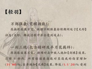 关于影之刃3炽刃40级技能心法的深度解析与探讨