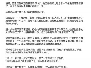 江添盛望被 c 到高潮的小说：一场极致的情感纠葛