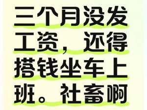 坐公交车上班的社畜，请注意了