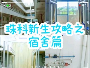 崩坏3宿舍更名指南：详细解析宿舍改名方法与步骤介绍