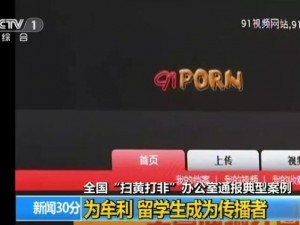 91Porn 无码国产：成人领域的热点话题