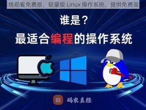 Lubuntu 在线观看免费版，轻量级 Linux 操作系统，提供免费高清视频播放