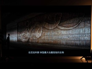 中文字幕文字幕肉岳，高清画质，流畅体验，让你尽享视觉盛宴