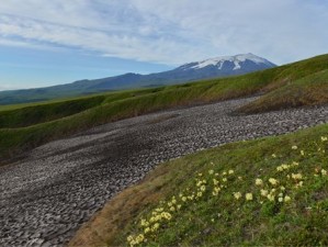 怪物猎人3G火山探险深度采集：探险者的荣耀之路探索未知生态的挑战之旅