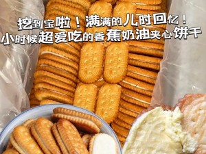 香甜酥脆的双胞胎两根前后夹心饼干