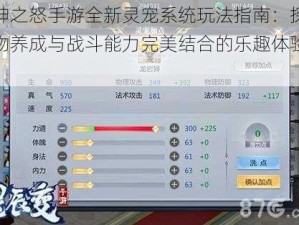 仙神之怒手游全新灵宠系统玩法指南：探索宠物养成与战斗能力完美结合的乐趣体验之旅