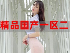 探秘国精产品 W灬源码 16：功能强大的软件，你值得拥有