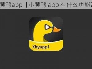 小黄鸭app【小黄鸭 app 有什么功能？】