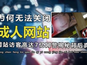 17c 网站：成人内容平台的消失与转型