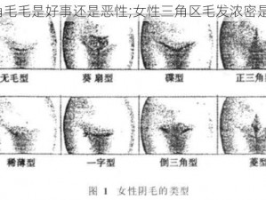 女性三角毛毛是好事还是恶性;女性三角区毛发浓密是好是坏？