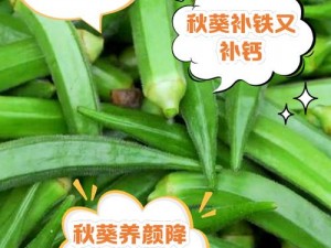 营养丰富的秋葵丝瓜茄子草莓榴莲樱桃，满足你挑剔的味蕾