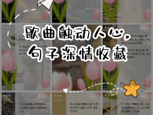 我宁愿所有痛苦深藏心底：一首触动人心的歌曲