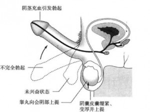 GayFuCk老头勃起A片;GayFuCk 老头勃起 A 片真的是你想要的内容吗？