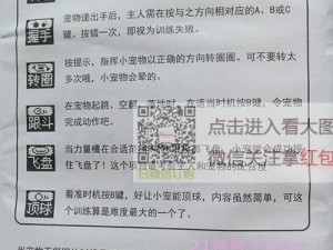 从后面摸你胸前的小兔兔作文智能电子宠物狗的使用说明书