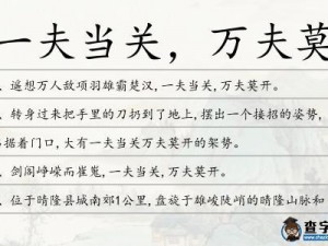 古代武将一夫当关，万夫莫开，以一敌十，勇冠三军