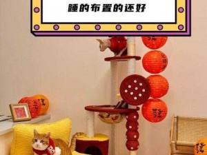 主播分享：猫咪家安装配置手册：打造温馨猫宅生活指南