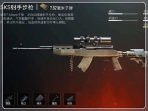 和平精英：SKS射手性能解析，精准威力一览无余