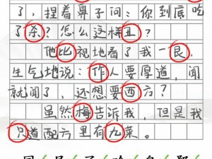 汉字找茬王攻略揭秘：寻梦高原红探秘之旅全程攻略解析