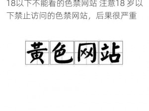 18以下不能看的色禁网站 注意18 岁以下禁止访问的色禁网站，后果很严重