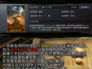 《三国志大战新手必读：深入解析白马庞德》