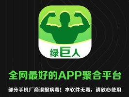 多功能绿巨人 APP，集实用功能于一身