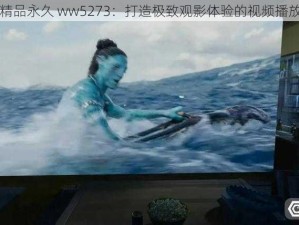 亚洲精品永久 ww5273：打造极致观影体验的视频播放平台