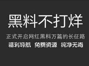 黑料不打烊 166 下载——一款提供热门娱乐资讯的应用