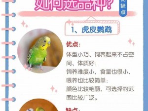 功夫熊猫3手游中的鹦鹉科学家全面解析：伙伴技能属性一览，助你成为顶尖玩家