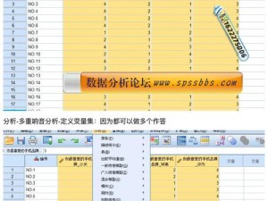 少妇做 spss 高潮了——spss 数据分析软件，让你的数据分析更高效