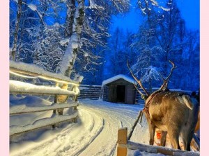 雪橇载具：探寻起源童话背后的价值与魅力