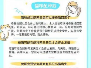 猫咪农场安装与配置指南：全面详解步骤及注意事项