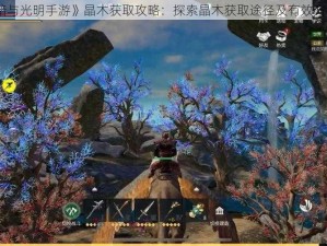 《黑暗与光明手游》晶木获取攻略：探索晶木获取途径及有效方法揭秘