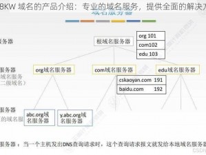 KM8KW 域名的产品介绍：专业的域名服务，提供全面的解决方案