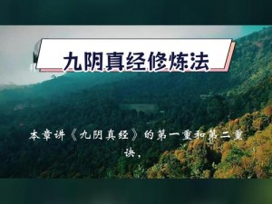 《多维度提升实力：深入解析九阴真经修炼方法》