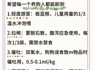 新手必知：全面解析宠物天书搭配指南，宠物养育技巧大汇总