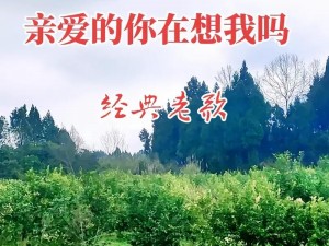 亲爱的你在想我吗视频播放：爷青回