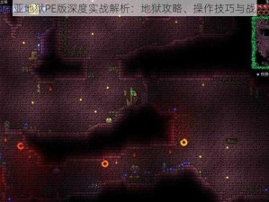 泰拉瑞亚地狱PE版深度实战解析：地狱攻略、操作技巧与战斗演示