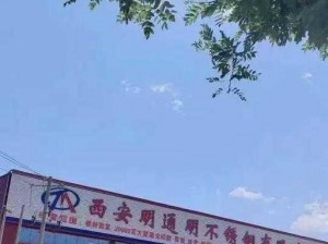 202gy 钙站：打造行业新标杆