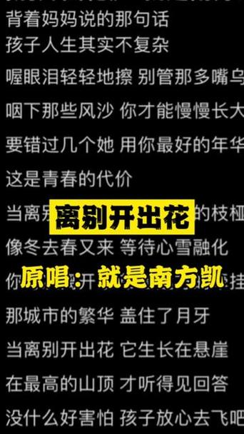 抖音旋律中的别离之歌：我的温柔留不住你的脚步