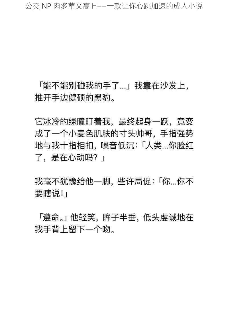 公交 NP 肉多荤文高 H——一款让你心跳加速的成人小说